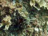 2010-09-12 14-02-00 Steven